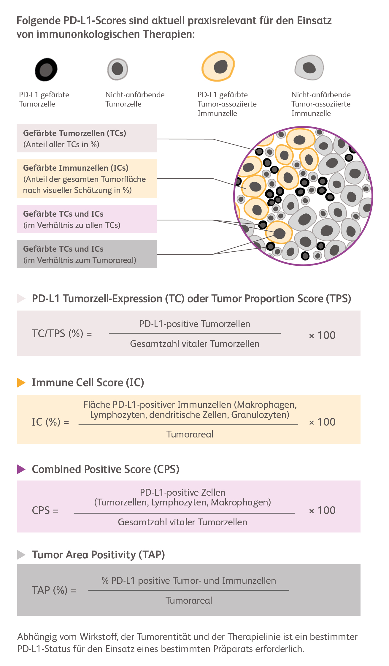 Schaubild PD-L1 Scores für diagnostische IHC-Ergebnisse